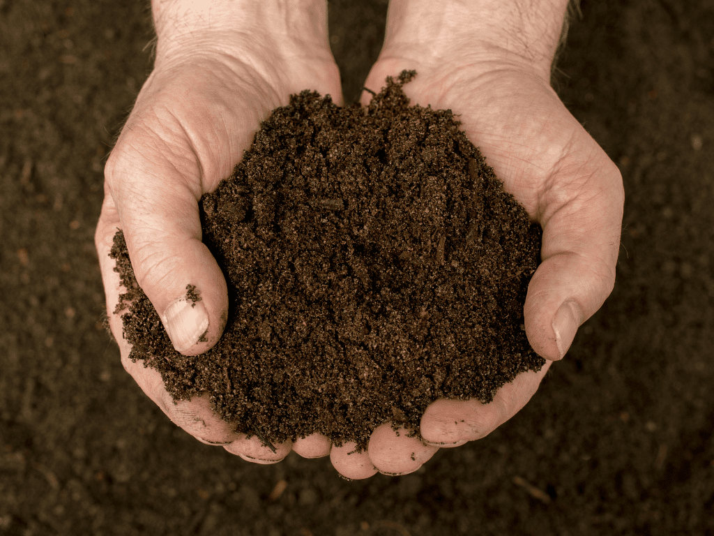 Communities encouraged to compost for healthier soil, healthier food